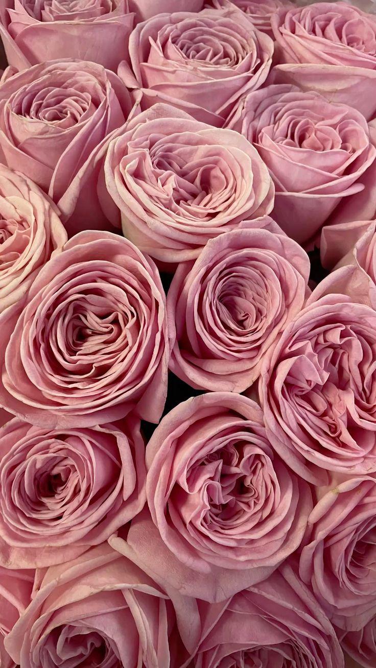 Twilight Whimsy Exotic Blossom Mix